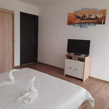 Casa Rizea * Salcioara (Dobruja)