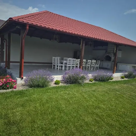 Casa Rizea Salcioara (Dobruja)