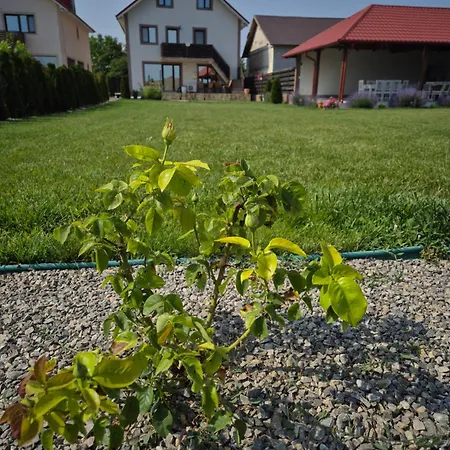 Casa Rizea Casa vacanze