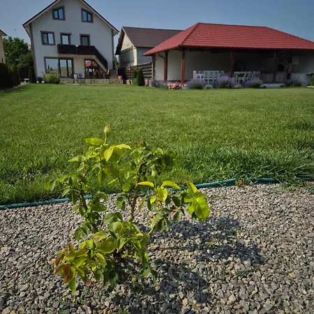 Case de vacanță Casa Rizea Salcioara (Dobruja)