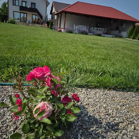 Casa Rizea Case de vacanță