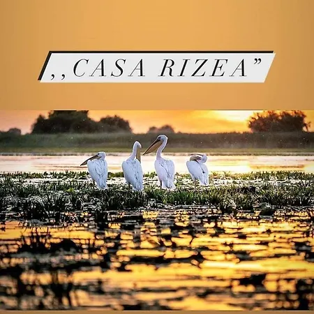 بيت للعطل Casa Rizea *